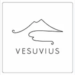 Vesuvius A Mezzocannone نابولي
