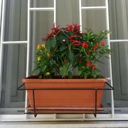 Apartmán Vesuvius A Mezzocannone